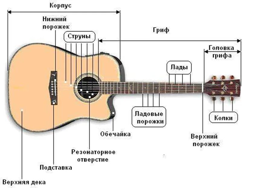 Внизу шум волн а наверху как струны. Строение гитары 6-ти струнной акустической гитары. Схема струн на гитаре 6 струн. Акустическая гитара Лады схема.