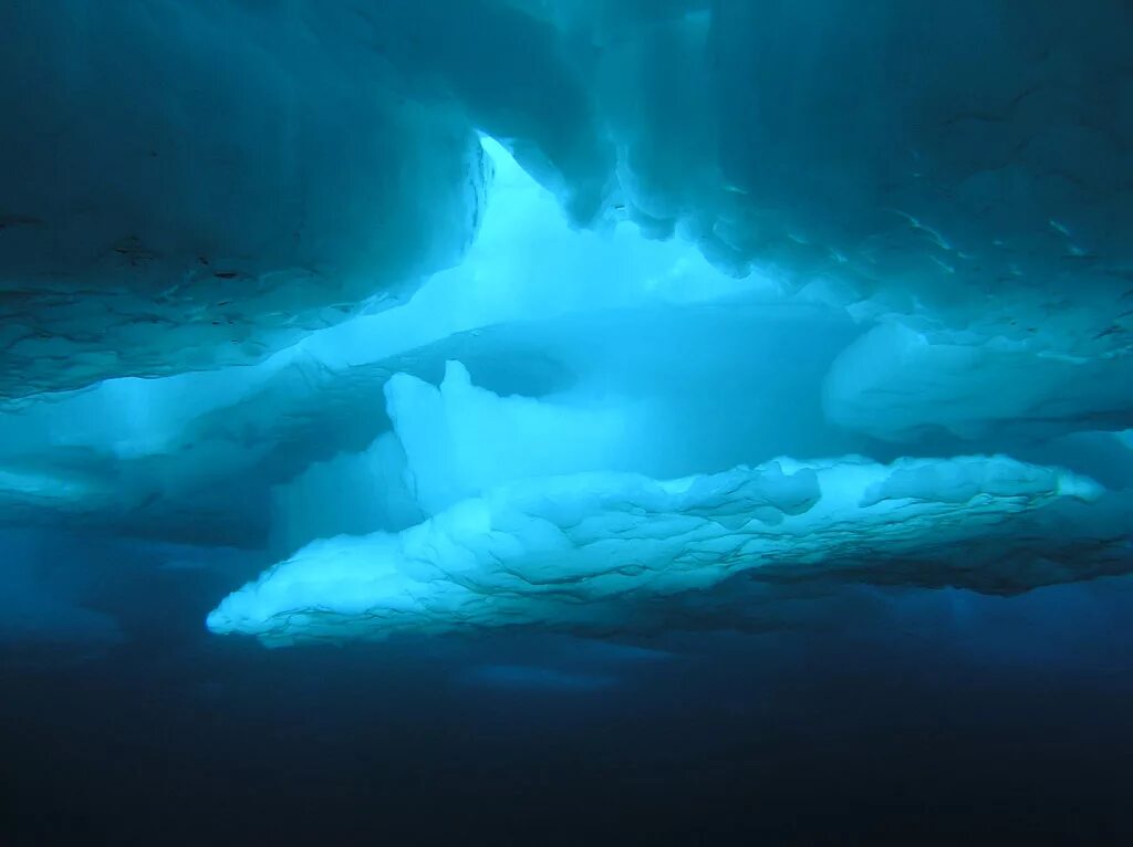 Это вечность где в морской воде. Северный Ледовитый океан подо льдом. Северный Ледовитый океан под водой. Морские глубины. Северно ядовитый океан под водой.