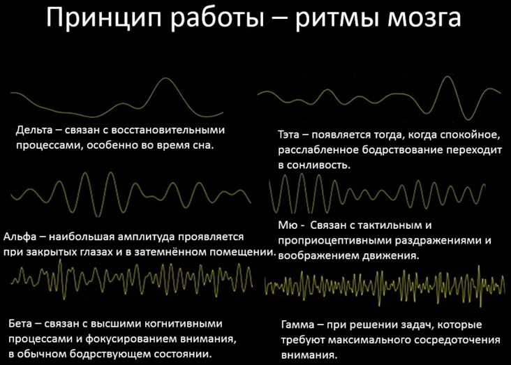 Музыка для стимуляции мозга концентрации внимания. Волны мозга Альфа бета тета. ЭЭГ Альфа бета тета Дельта ритмы. Альфа ритм мозга ЭЭГ. Дельта-ритм, Альфа-ритм, тета-ритм и бета-ритм.