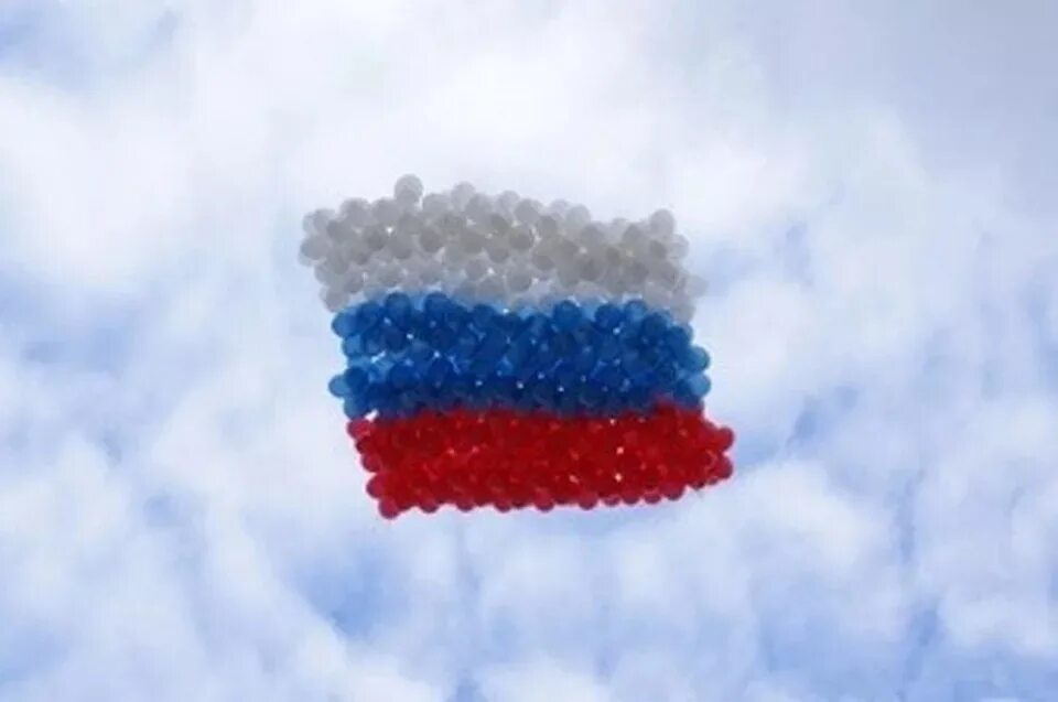 Флаг российский. Цвет триколор фото. Букет в виде триколора. Российский триколор из цветов. Российский триколор.