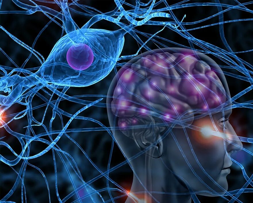 Поражение нервной системы. Заболевание нерва системы. Патологии нервной системы. Мозг неврология. Заюолнваниянервной системы.