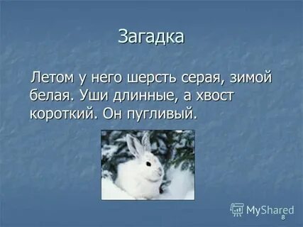 Зимой и летом 1 цветом ответ
