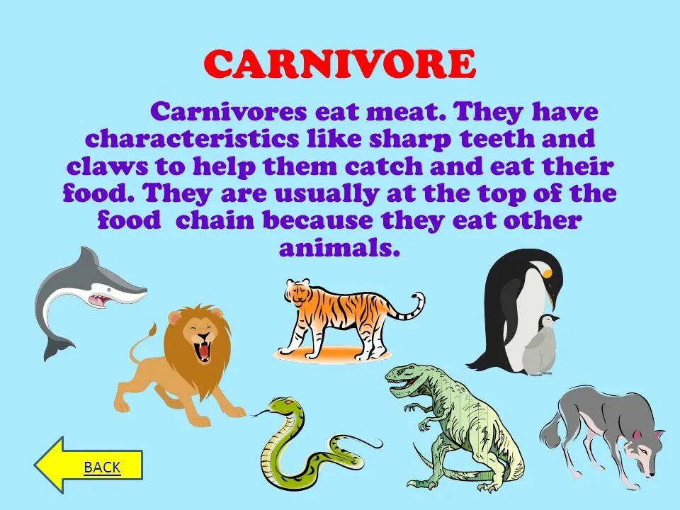 Carnivore перевод