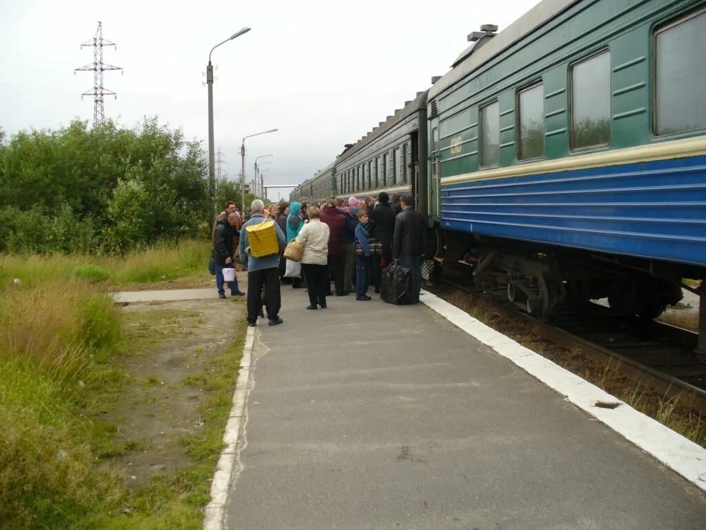 Северодвинск Ненокса поезд. Пригородный поезд Обозерская Онега. Станции поезда Северодвинск Ненокса. Нёнокса Архангельская область станция.