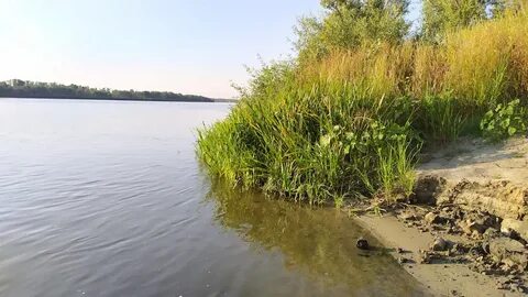 Дона волгоград