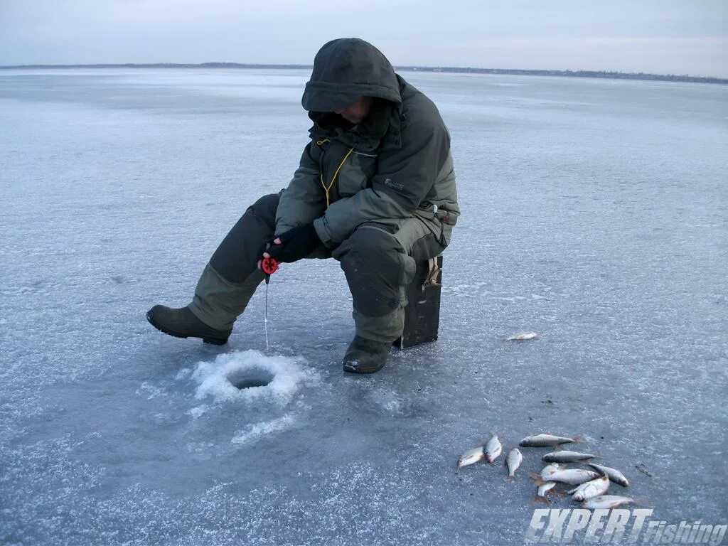 Подледный лов рыбы. Зимняя рыбалка. Подледная рыбалка. Рыбак зимой. Зимняя ловля рыбы.