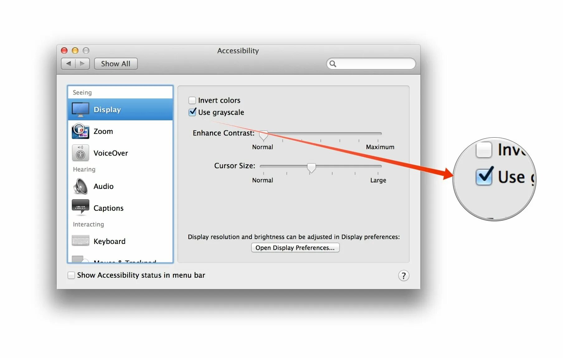Разрешение mac os. Запись экрана на мак. разрешение экрана mac. mac os разрешение экрана. запись экрана mac os.