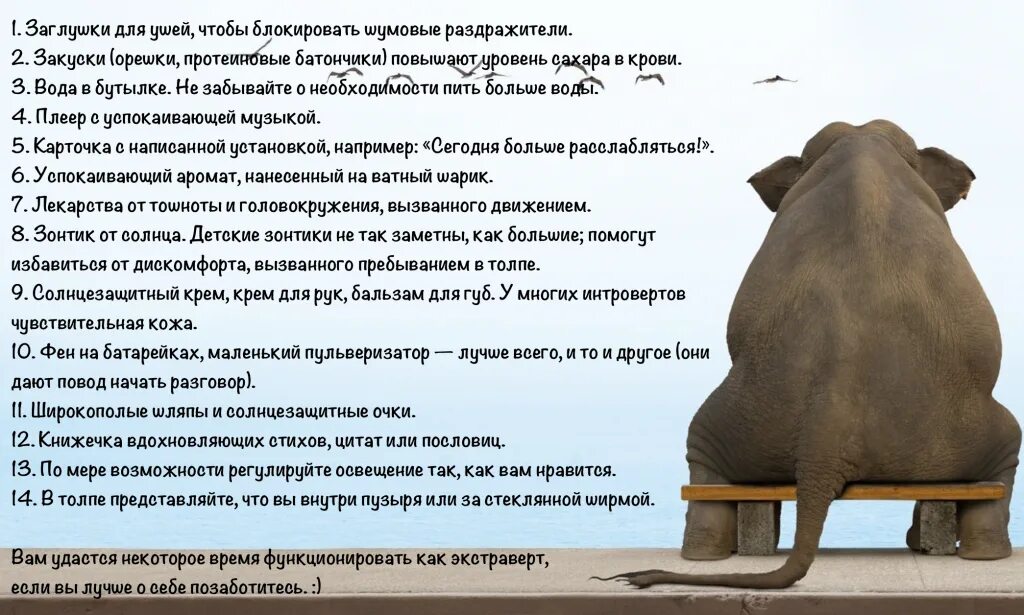 Как общаться с интровертом. Мифы об интровертах. интроверт. плюсы быть интровертом. кто такой интроверт кратко.