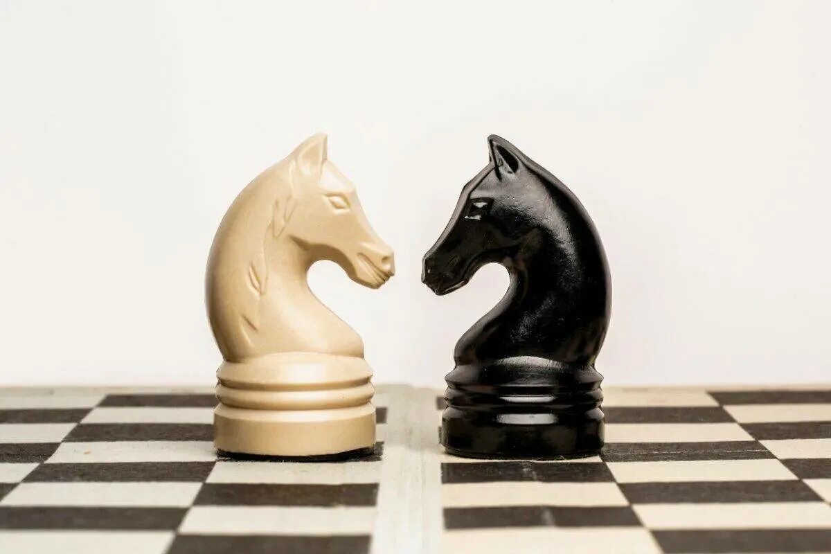 Шахматный конь. Конь шахматы. Фигура коня в шахматах. Белый шахматный конь. 2 коня шахматы