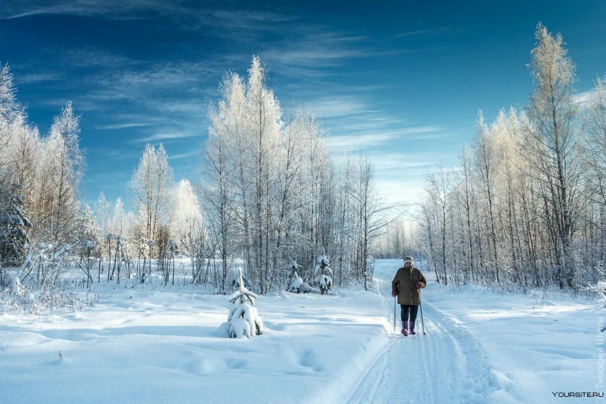 Зимняя прогулка. Прогулка зимой. Валдай зимой. Зимняя Валдайская природа. Не всегда зима на валдае холодная