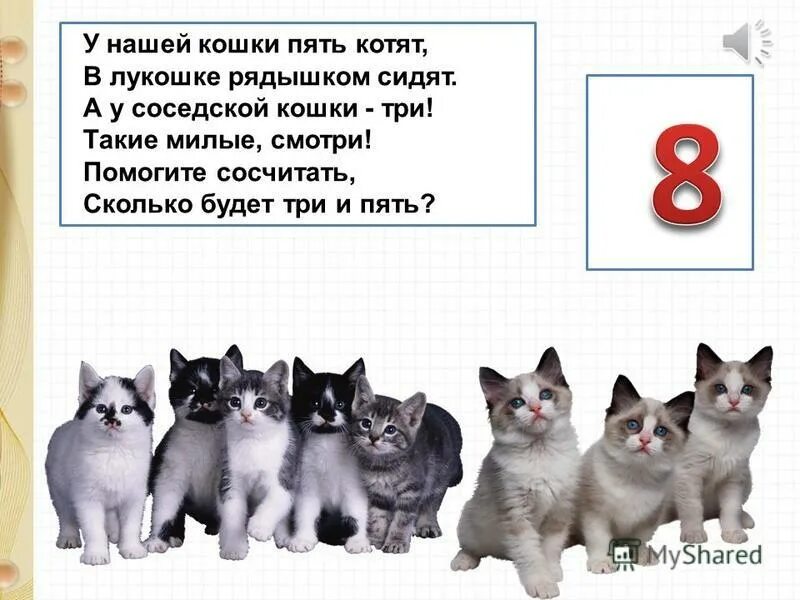 У маши живут 5 котят. Пять кошек. Пятеро котят. 5 Котят. Сосчитай котят.