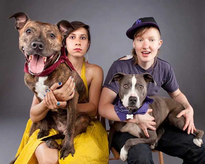 домашние животные и человек. хозяин собаки. собака друг человека. человек с домашним живон. женщина и домашние животные.