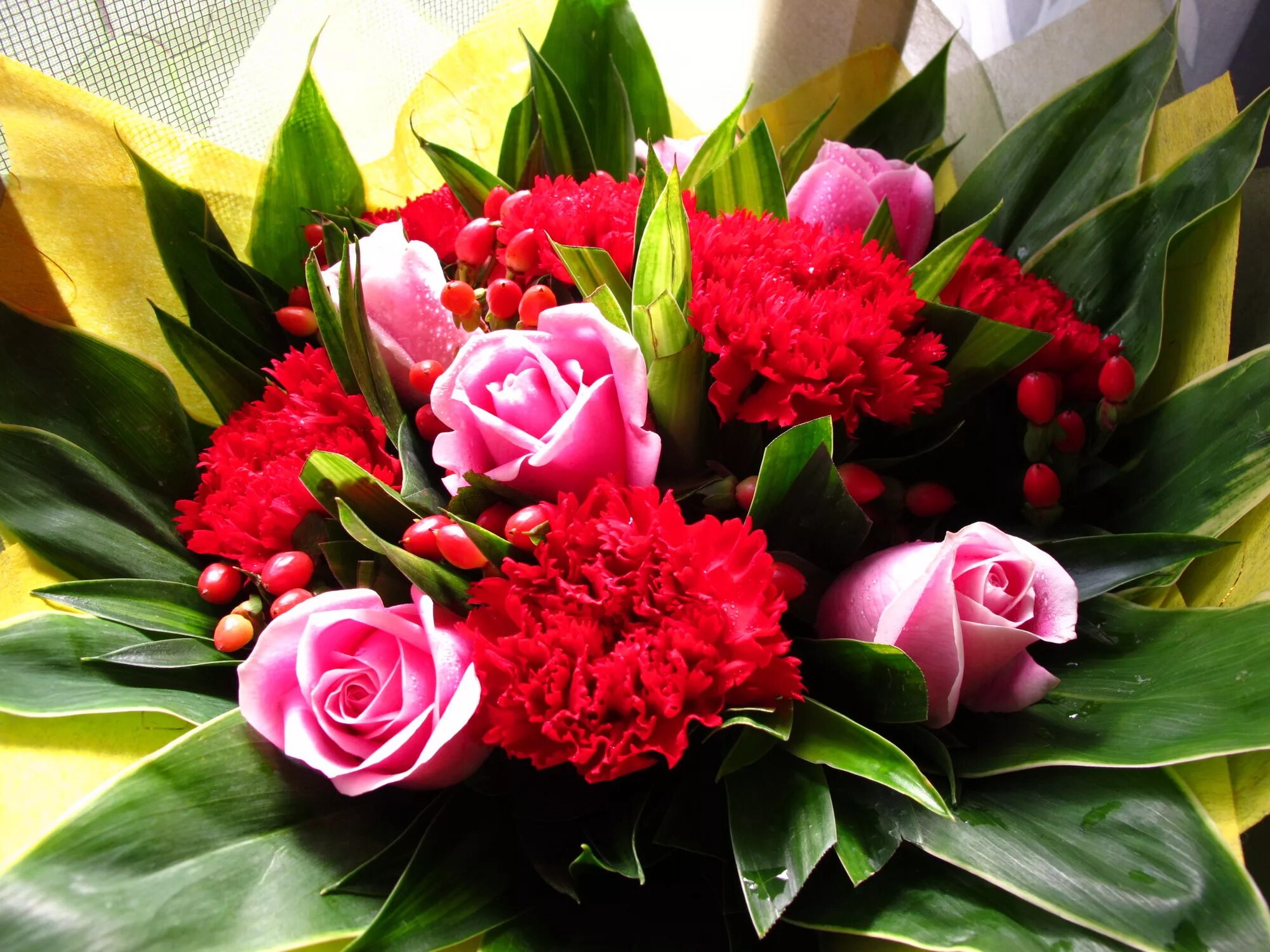 Цветы ото. Букет тюльпаны и Диантус. Букет шикарный. Красивый букетик цветов. Роскошный букет цветов.
