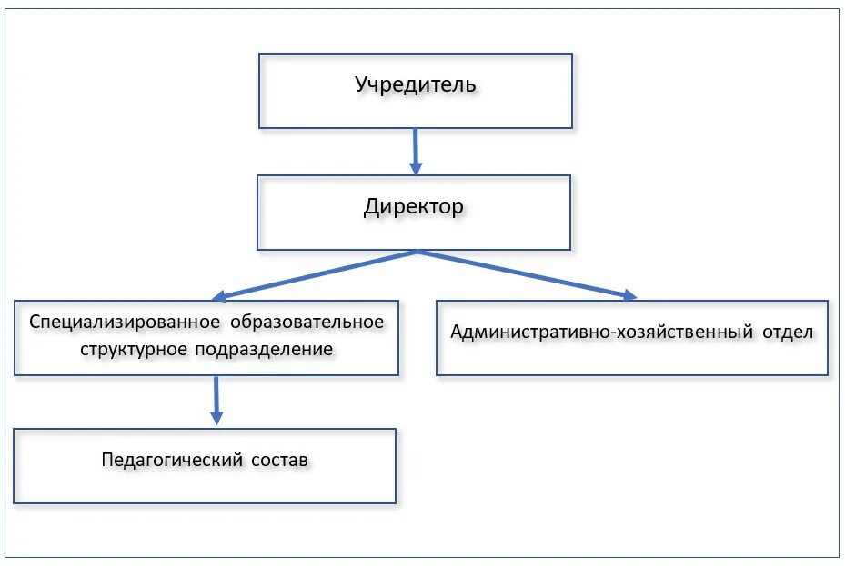 Директор и генеральный директор отличия. Учредитель и директор разница. Учредитель и генеральный директор в чем разница. Структура АНО. Организационная структура АНО.