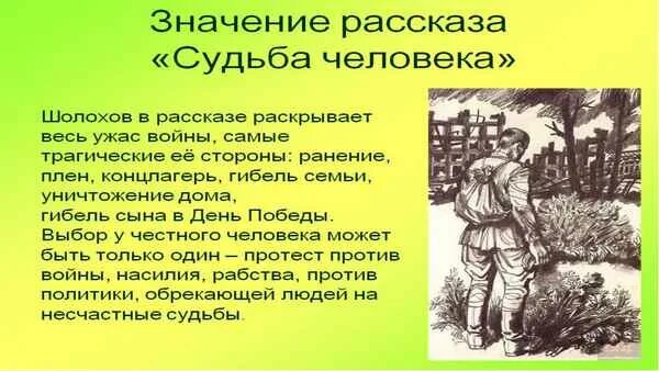 Молодой человек краткое содержание. Конспект урок на тему судьба человека.