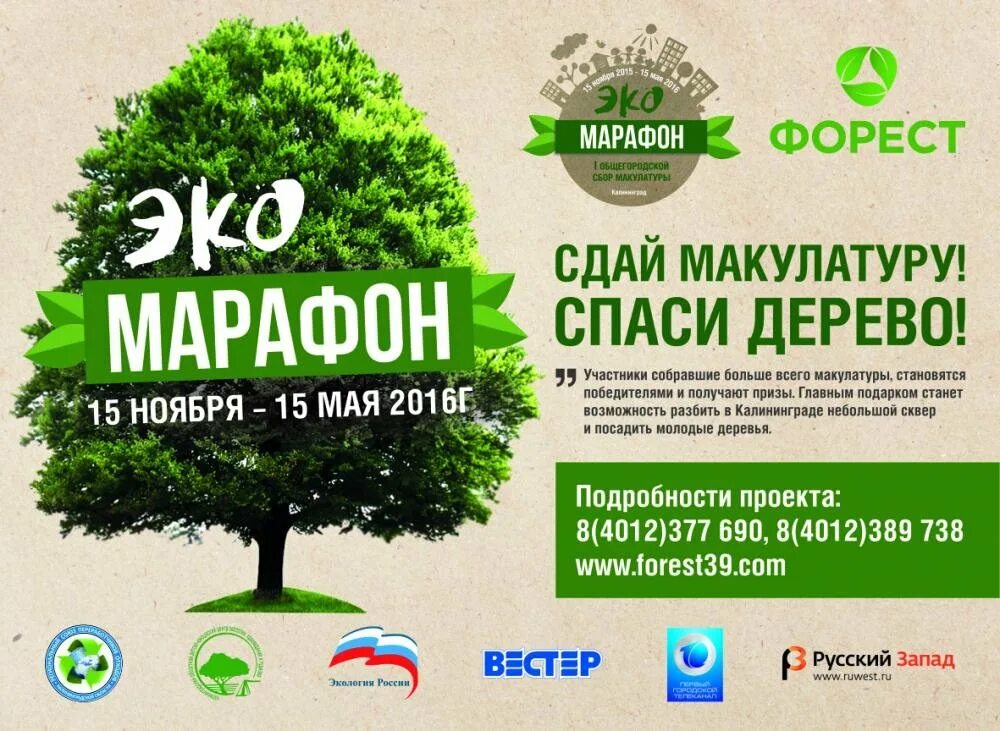 Макулатура калининград. Акция по сбору макулатуры. реклама по сбору макулатуры. плакат по сбору макулатуры. листовка макулатура.