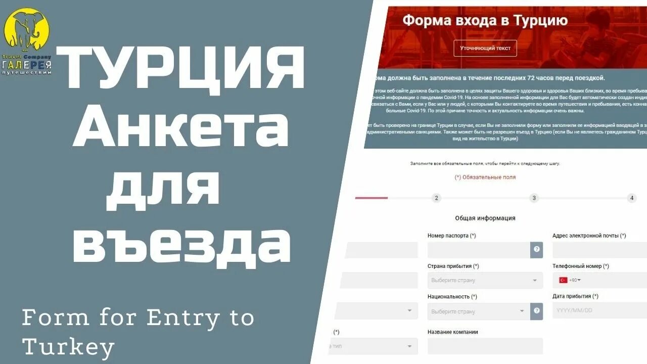 Анкета в самолете в турцию. Анкета при въезде в турцию. Визовая анкета для турции. Анкета для въезда в турцию. Электронная анкета для въезда.