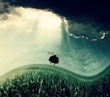 Imaginary