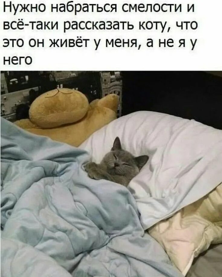 Завидую спят по ночам