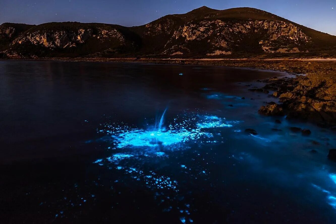 Светящаяся вода ночью. Планктон ночесветка. Озеро Гипселенд Австралия. Ночесветка в черном море. Остров Ваадху Мальдивы.