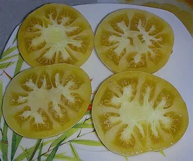 Томат каменный ручей