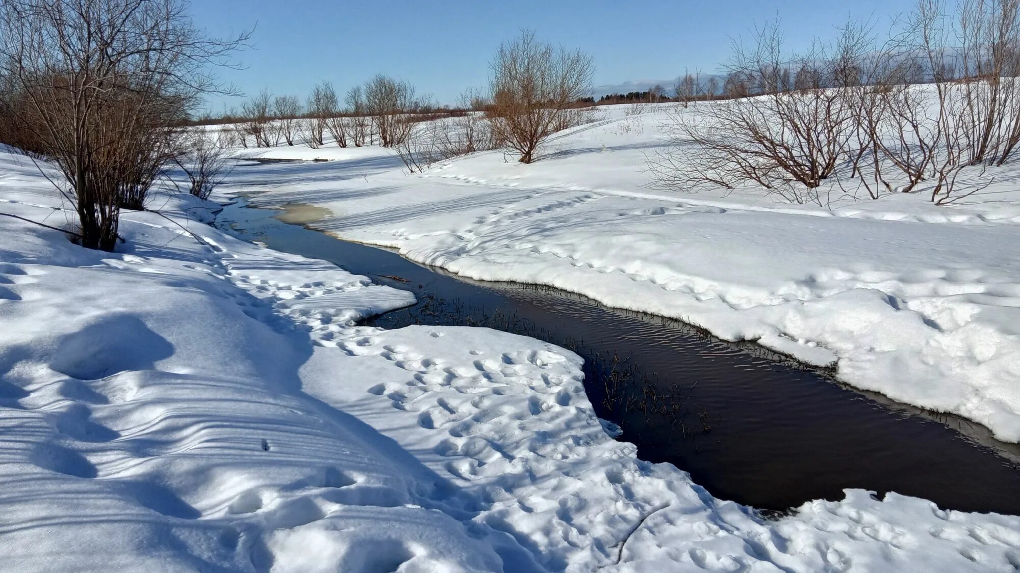 Ручей весело бежал. Ручьи весной. Весенний Ручеек.