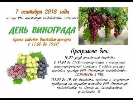 Всемирный день винограда