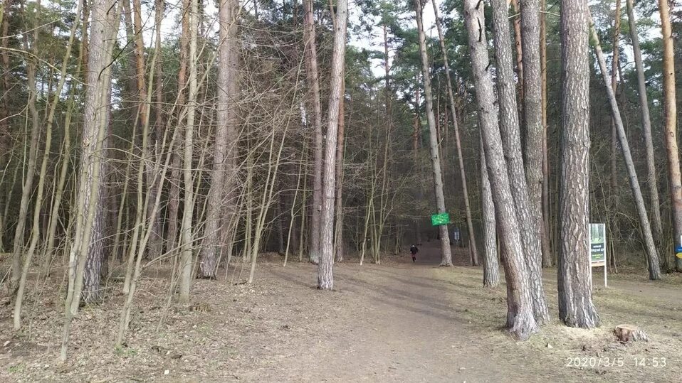 Калуга Бор. Калужский Бор памятник природы. Калуга Бор санаторий. Калуга Бор Кондратьев. Сайт калуга бор