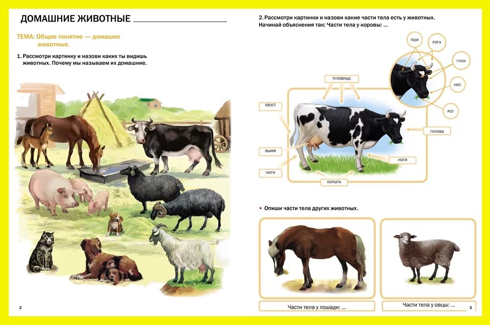 Задание по развитию речи по теме домашние животные. Развитие речи тема домашние животные. Задания с домашними животными для дошкольников. Лексическая тема домашние животные. Конспект занятия в средней группе домашние животные