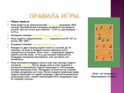 Волейбол позиции игроков и названия