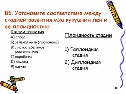 Установите соответствие между этапами