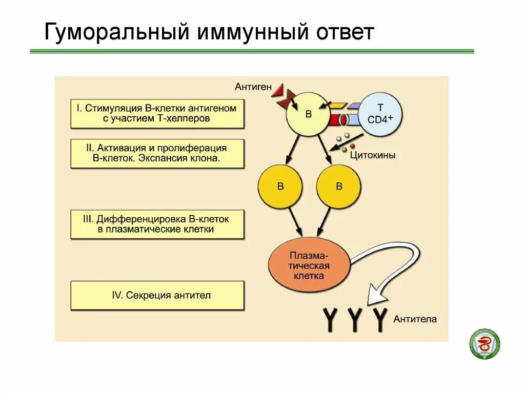 Как сделать реакцию стимуляции