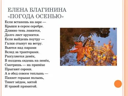 Стихи про приметы осени