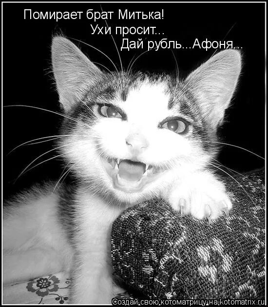 брат митька помирает ухи просит из какого фильма. брат митька помирает ухи просит картинки. шкурат. брат помирает ухи просит из какого. брат митька помирает ухи просит картинки.