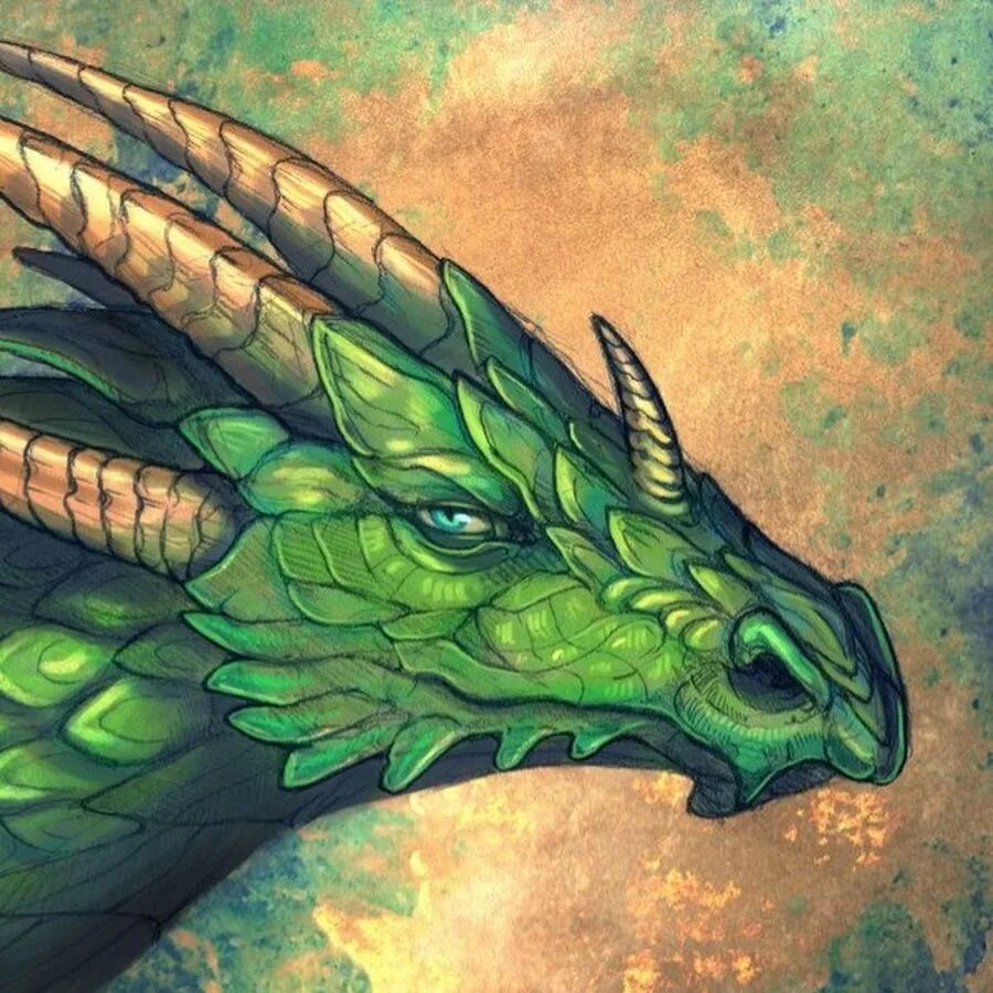 Зелёный дракон. Брим зелёный дракон. Вирмлинг зеленого дракона. Изера зеленый дракон. Какой зеленый дракон