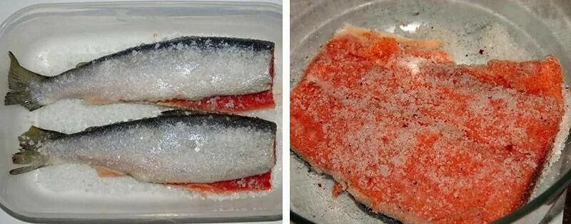 Как хранить соленую форель после засолки