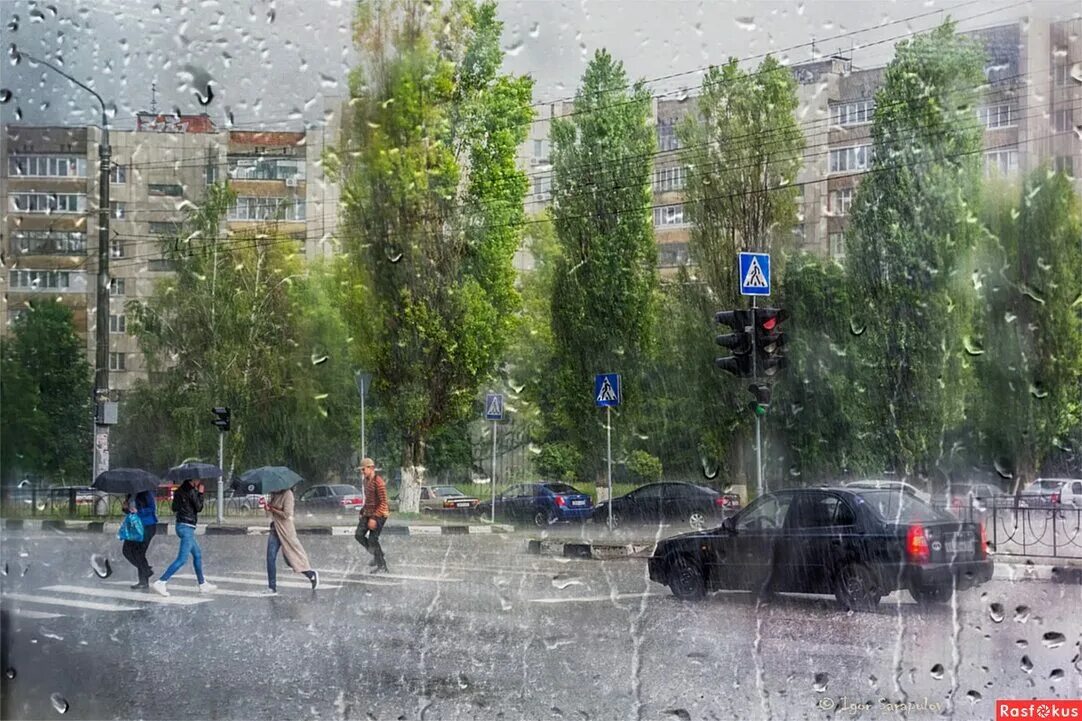 Дождь в городе. Летний дождь в городе. Майский ливень.