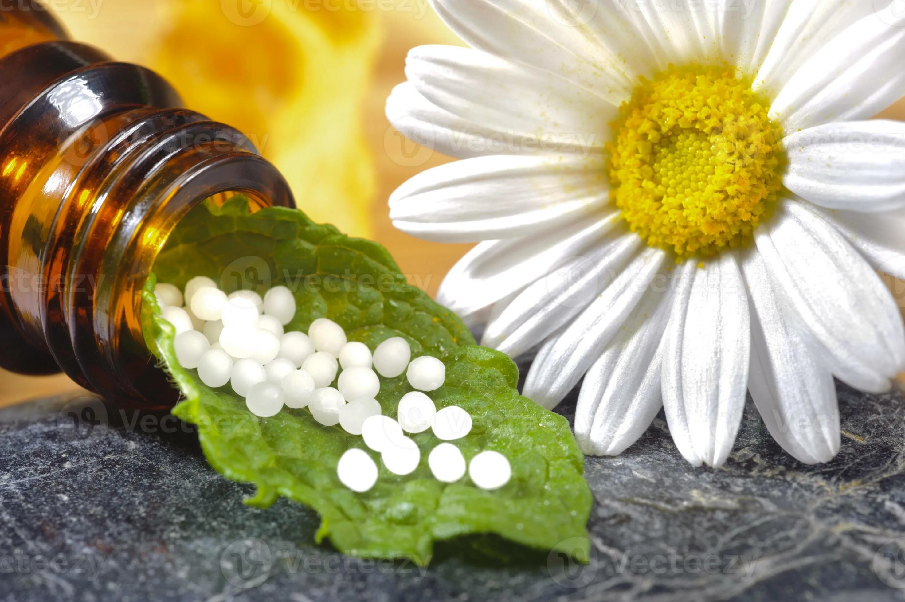 Гомеопатические лекарственные препараты. Гомеопатия. Нетрадиционная медицина гомеопатия. Гомеопатия природа. Лекарства в природе.