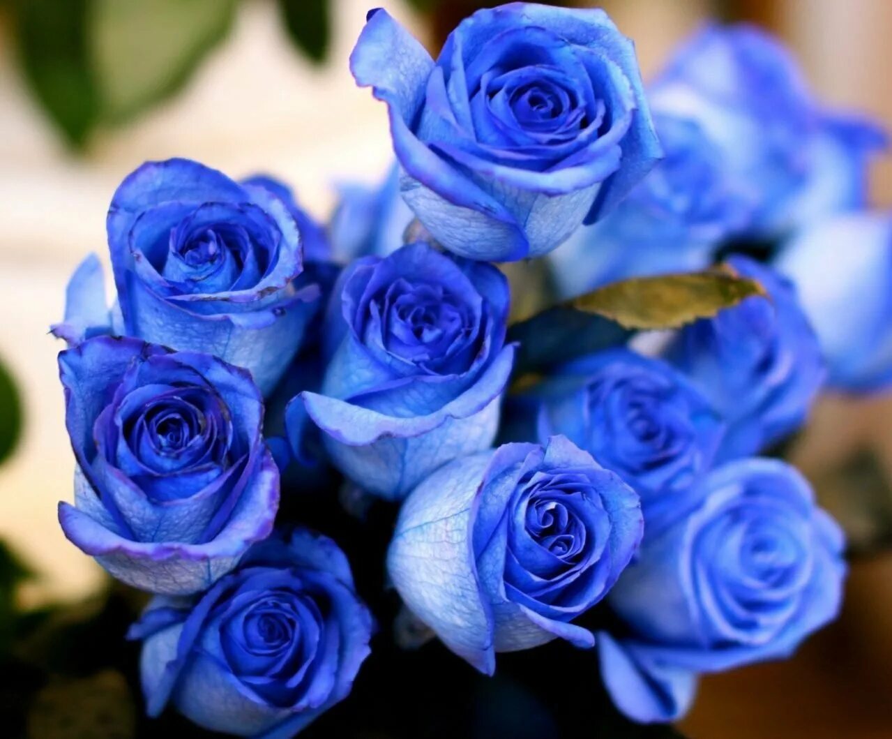 Let s blue