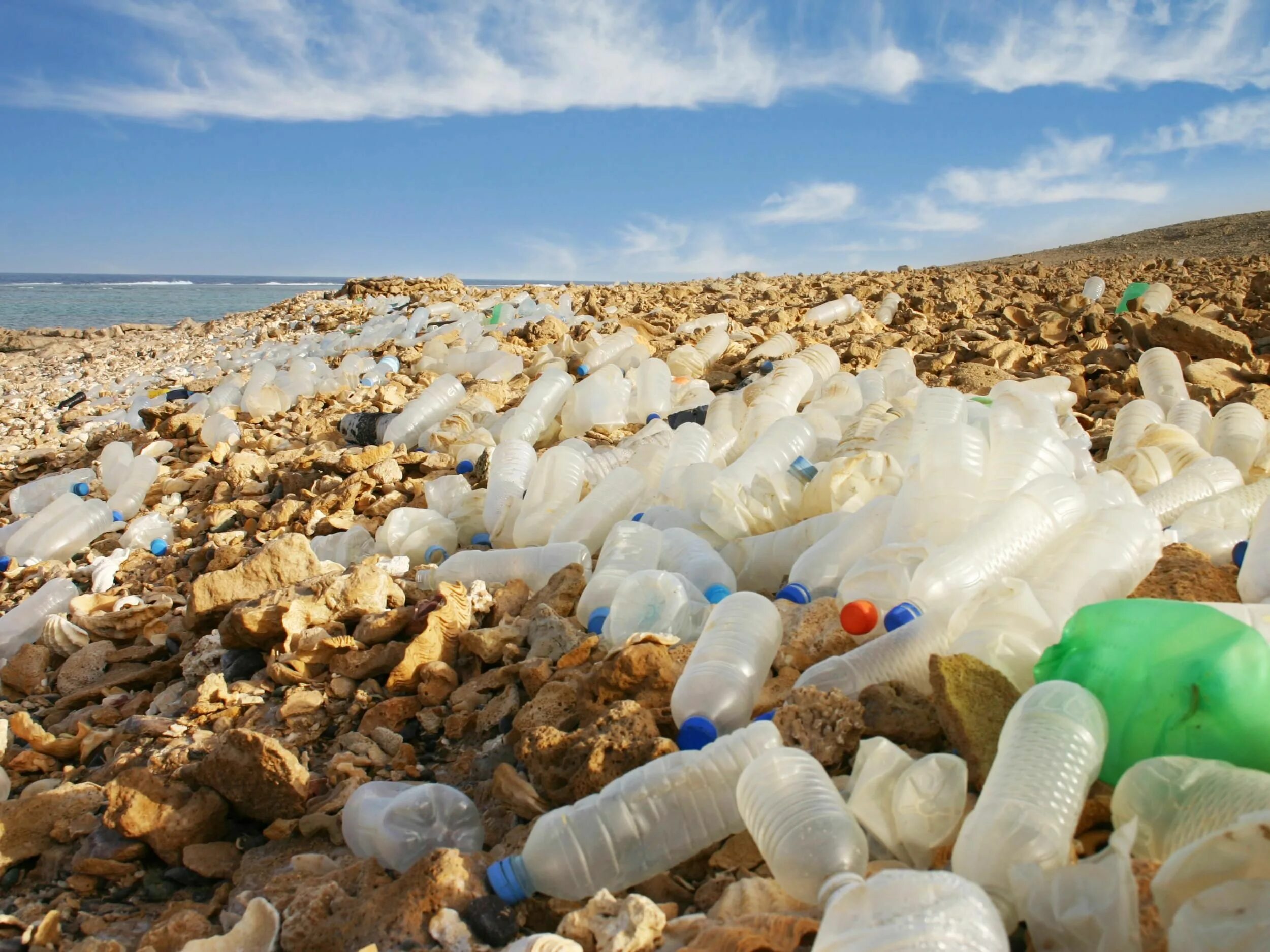 Пакет с пластиковыми бутылками. Plastic recycling process. Plastic. Оборудование для переработки пластика. Big plastic.