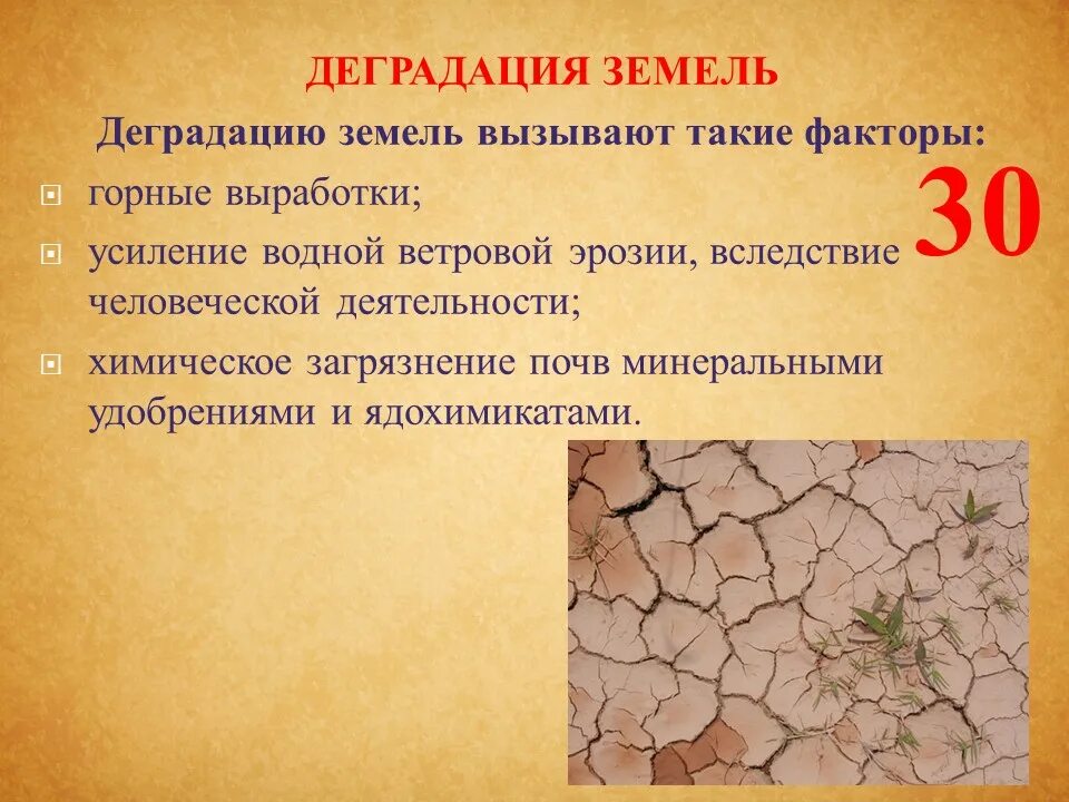 Деградация почв. Деградация почв, эрозия, опустынивание. Деградированная почва. Дегумификация почв.