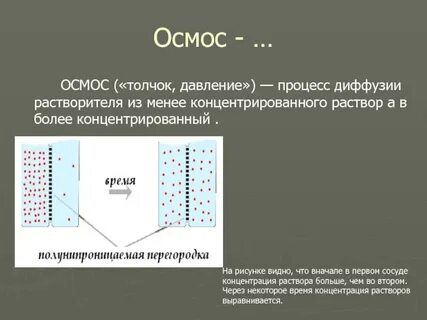 Осмос это