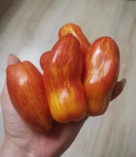 Pepper like