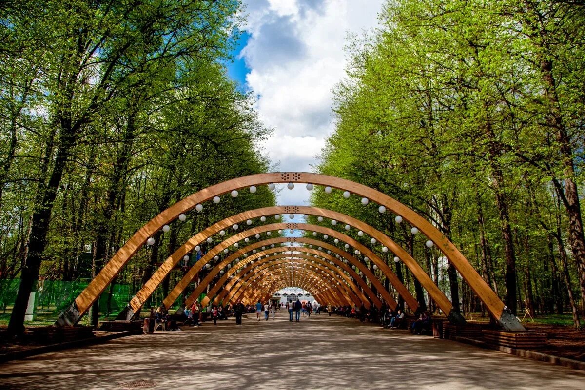 Парк Сокольники Центральная аллея. Москва парк Сокольники парк Сокольники. Парк Горького Сокольники. Парк 50 летия октября проспект Вернадского.