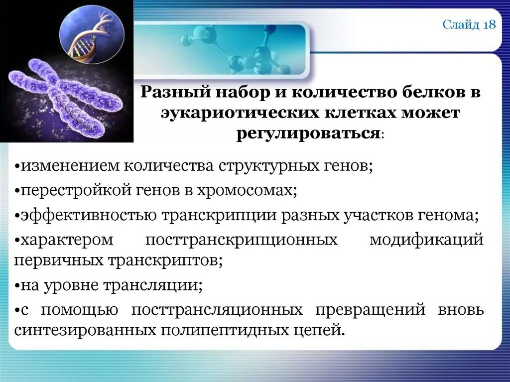 Экспрессия генов презентация. Изменение количества генов. Изменения структурных Гено. Удвоение генов в хромосоме