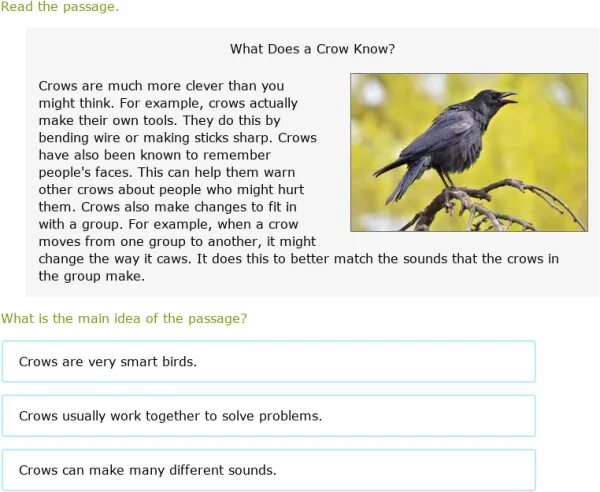 What in the main idea of the Passage. What is a Passage. One Passage example. Find a Passage. The main idea of the article