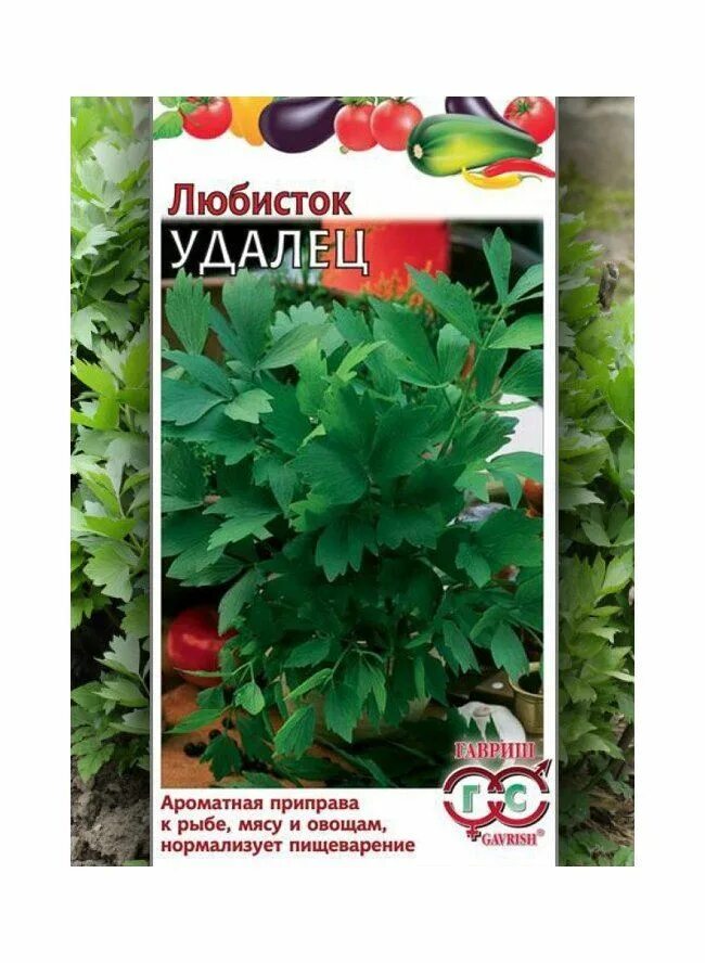 Семена Любисток "Удалец", 0,3 г - купить в интернет-магазине по низкой цене на Я