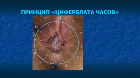 Принцип 48 часов