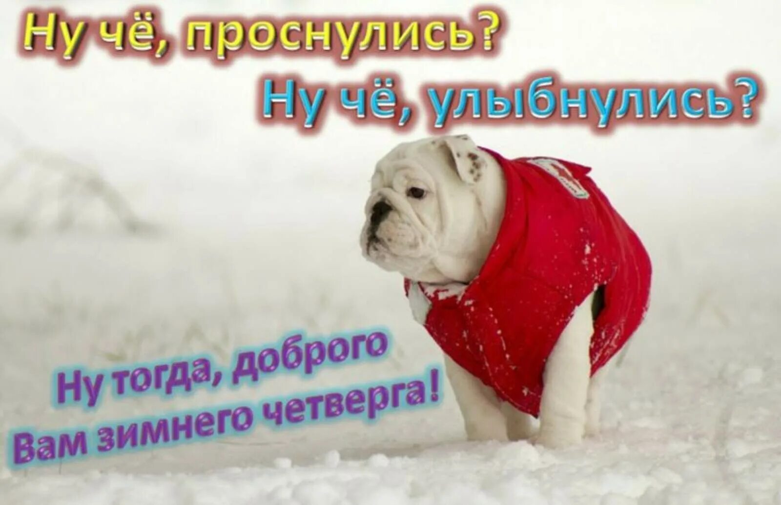 Морозное утро четверга. С добрым зимним утром четверга. Сдобрым зимнем утро четверга. Доброе зимнее утро че тверна. Доброе зимнее утро четверга.