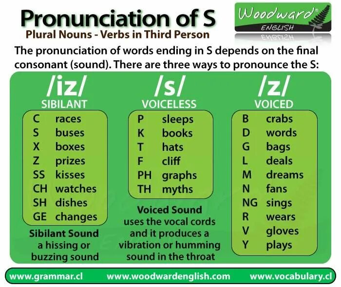 Произношение окончания s в английском языке. Окончание ed в английском pronunciation. Произношение s в конце слова в английском. Звучание окончания s в английском. Wording 1 уровень